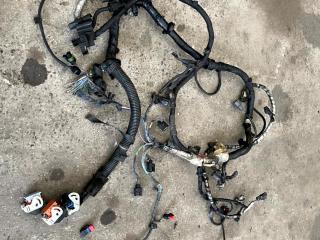 проводка двигателя Ford S-Max 1 поколение (2006 - 2010), 1.8 л., дизель, 5WS40419F