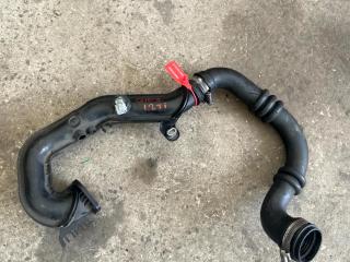 патрубок интеркулера Renault Clio 3 поколение [рестайлинг] (2009 - 2014), 1.2 л., бензин, 8200519298