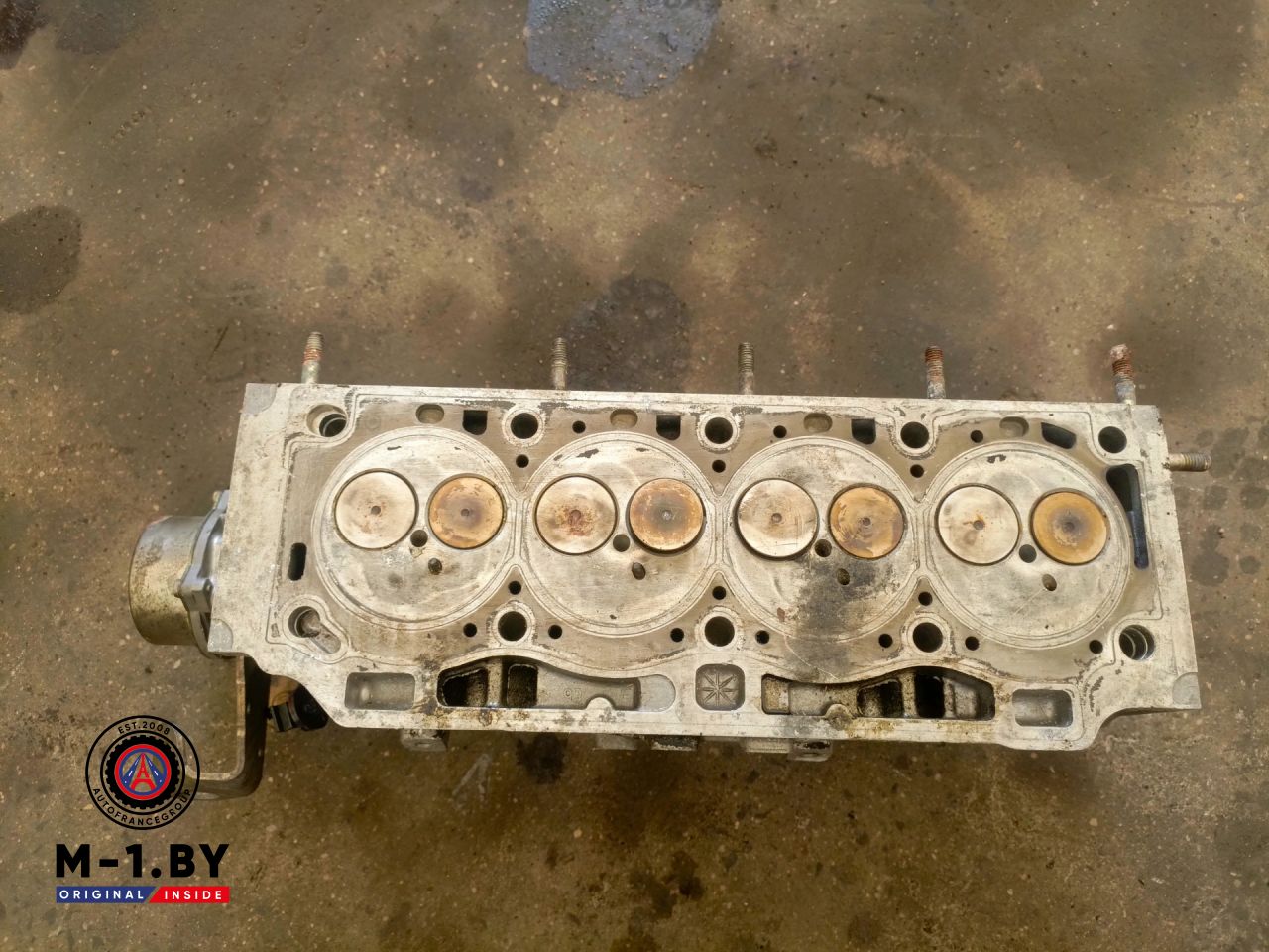 головка блока цилиндров Renault Megane 2 поколение (2002 - 2006), 1.9 л., дизель - фото №1