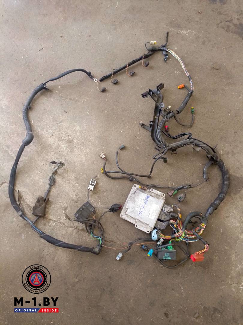проводка двигателя Peugeot 607 1 поколение (2000 - 2004), 2.2 л., дизель, 9647473580 - фото №1