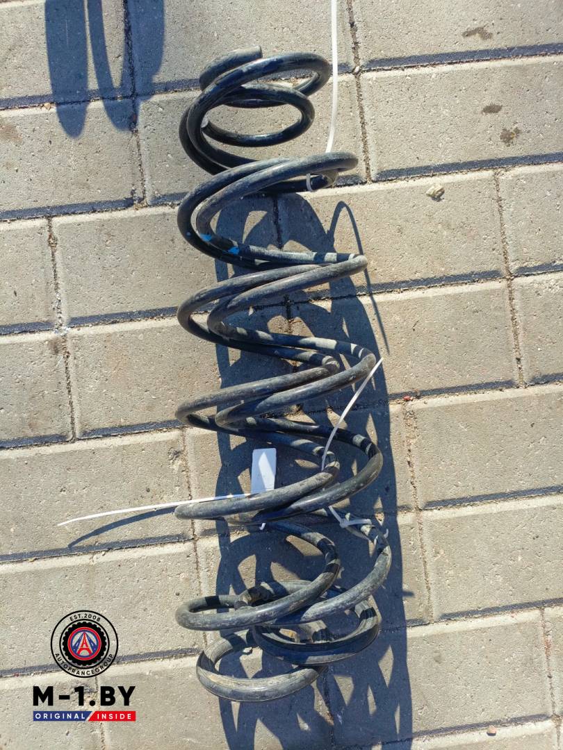 пружина задняя Renault Laguna 2 поколение (2001 - 2005) - фото №1