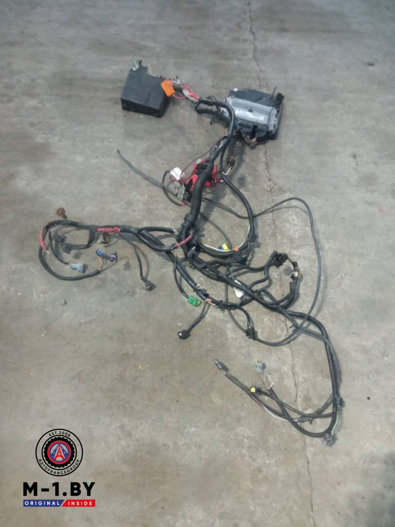 проводка двигателя Renault Megane 2 поколение (2002 - 2006), 1.6 л., бензин, 8200785132 - фото №1