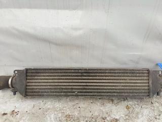 интеркулер Lancia Delta 3 поколение (2008 - 2014), 866456000