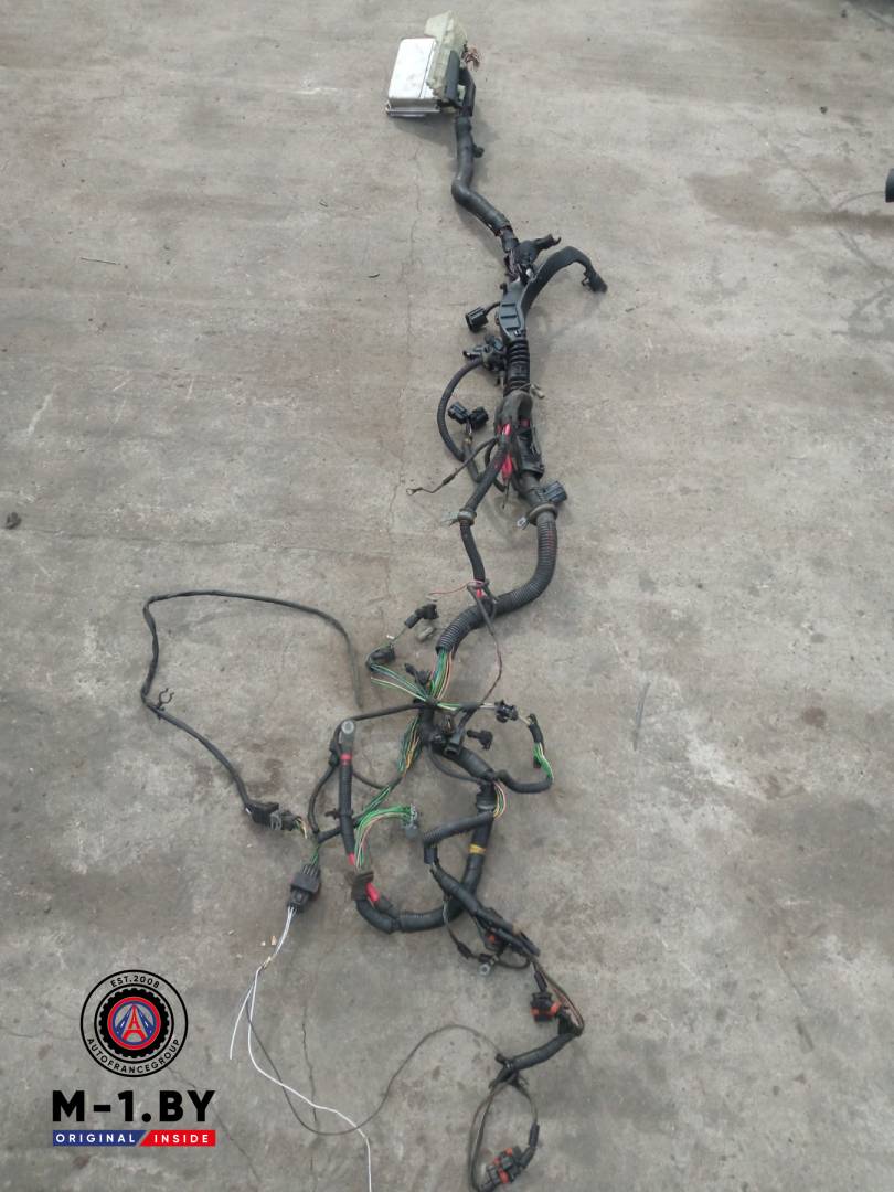 проводка двигателя Volvo C70 1 поколение 2000, 09470738B, 0261206272 - фото №1