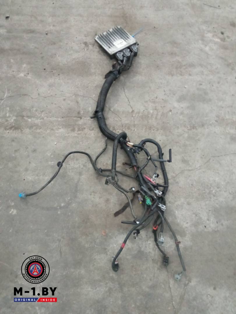 проводка двигателя Renault Logan 1 поколение (2004 - 2009), 8200911568 - фото №1