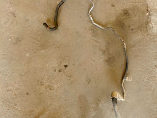 трубка гидроусилителя Renault Scenic 1 поколение [рестайлинг] (1999 - 2003), 1.9 л., F9Q 744, дизель