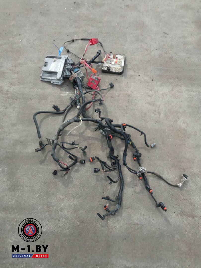 проводка двигателя Renault Scenic 2 поколение (2003 - 2006), 2.0 л., дизель, 8200462542 - фото №1
