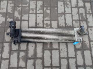 интеркулер Nissan Qashqai J10 [рестайлинг] (2010 - 2013), G3062007