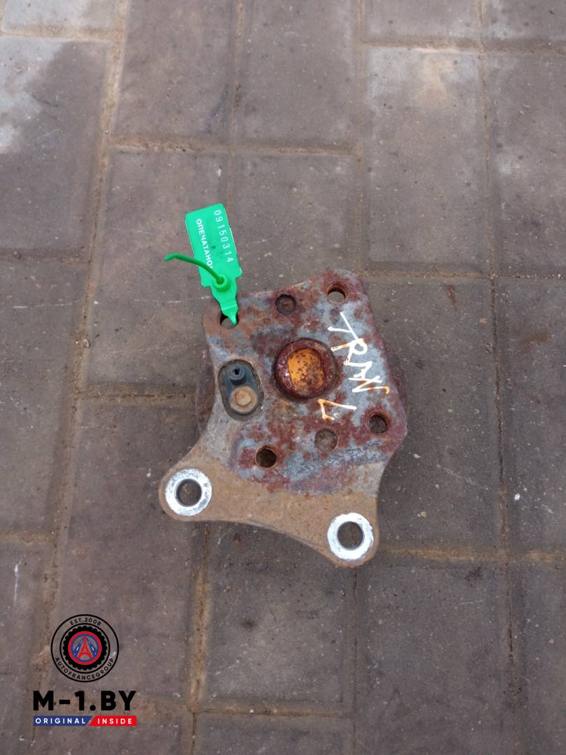 ступица задняя левая Ford Transit Connect 1 поколение (2002 - 2009) - фото №1