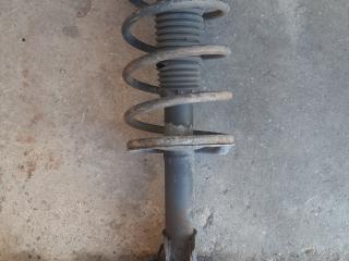 амортизатор передний левый Citroen Evasion 1 поколение [рестайлинг] (1997 - 2002), 2.0 л., бензин