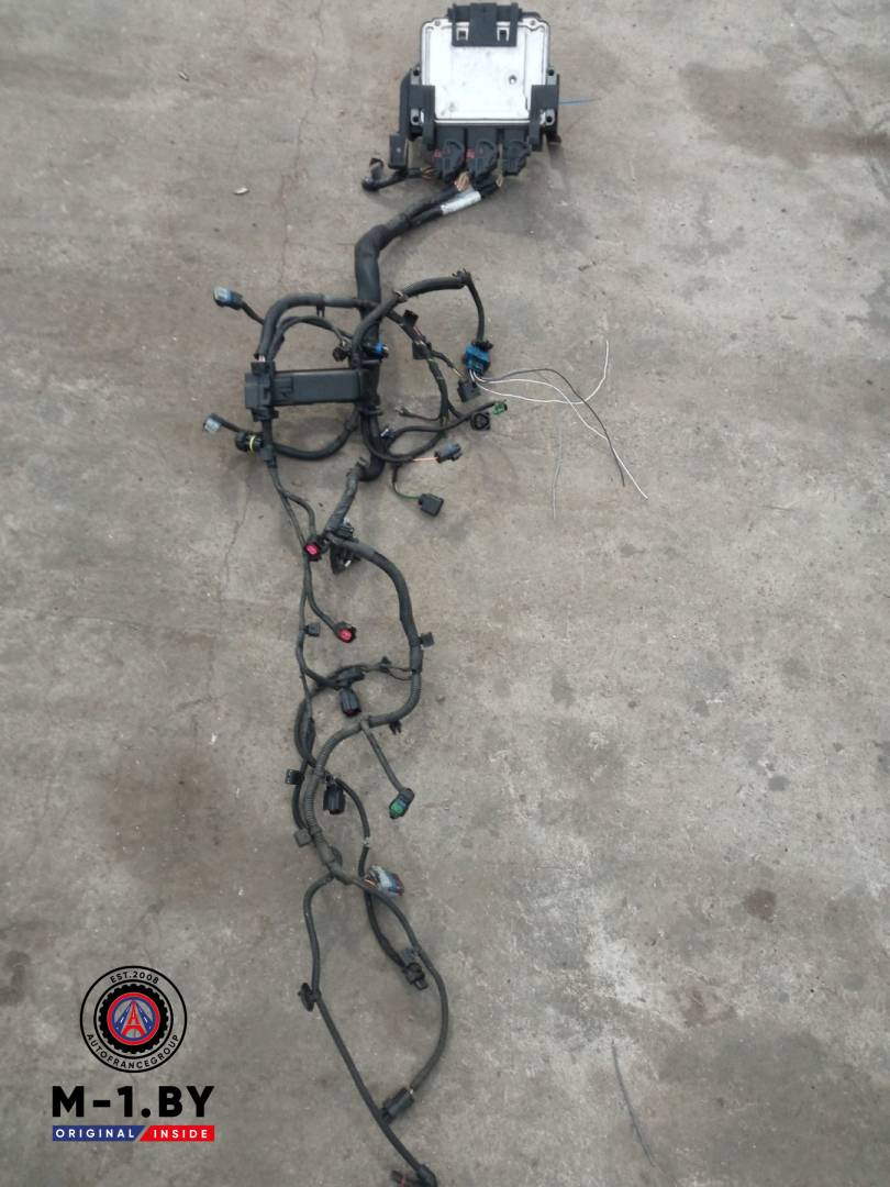 проводка двигателя Mini Cooper 2 поколение (2006 - 2010), 1.4 л., бензин, 7567120 - фото №1