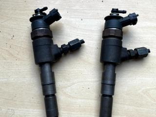 форсунка Citroen C3 1 поколение [рестайлинг] (2005 - 2009), 1.4 л., дизель, 0445110252