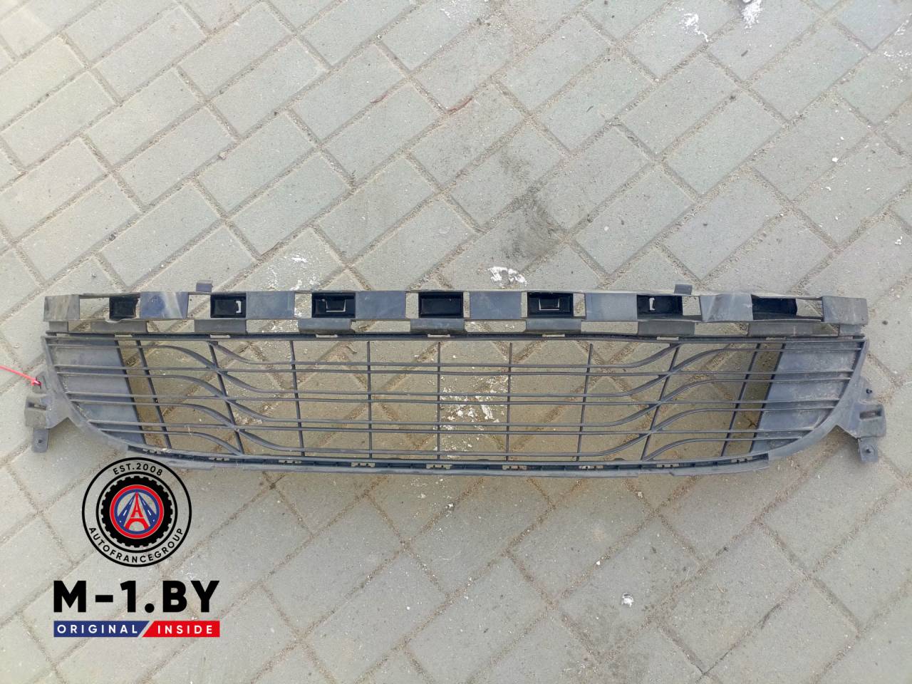заглушка (решетка) в бампер Renault Megane 3 поколение (2008 - 2014), 622540001R - фото №1