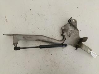 петля капота левая Renault Scenic 3 поколение (2009 - 2012), 654010004R