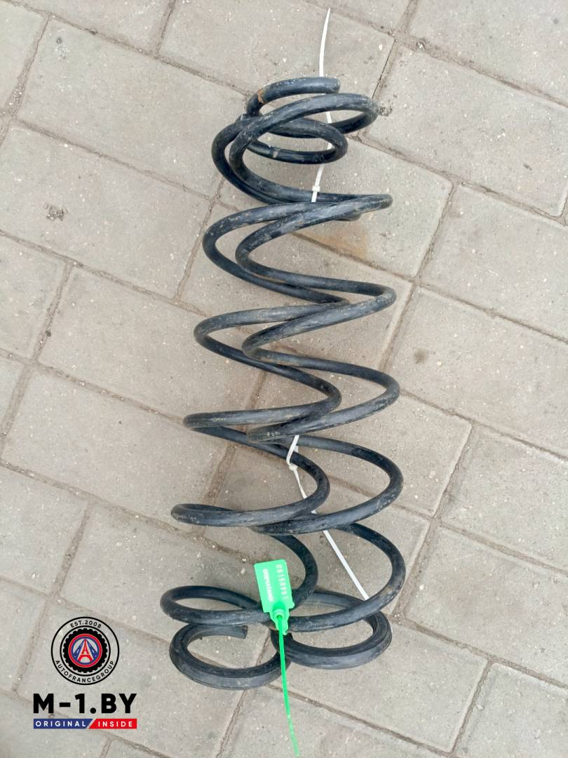 пружина задняя Renault Laguna 2 поколение (2001 - 2005) - фото №1