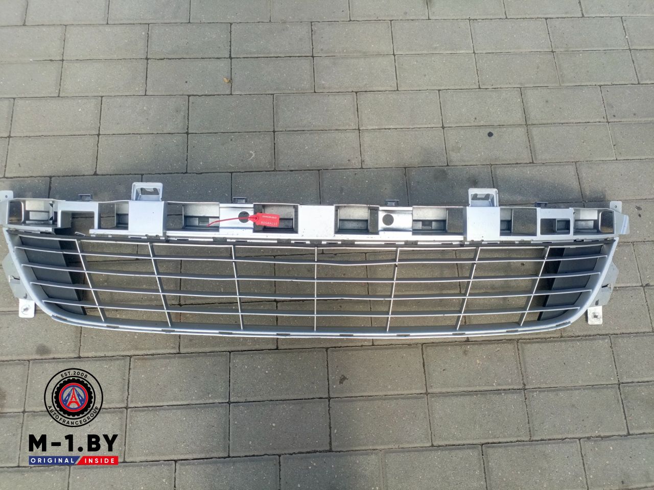 заглушка (решетка) в бампер Renault Megane 3 поколение (2008 - 2014) - фото №1