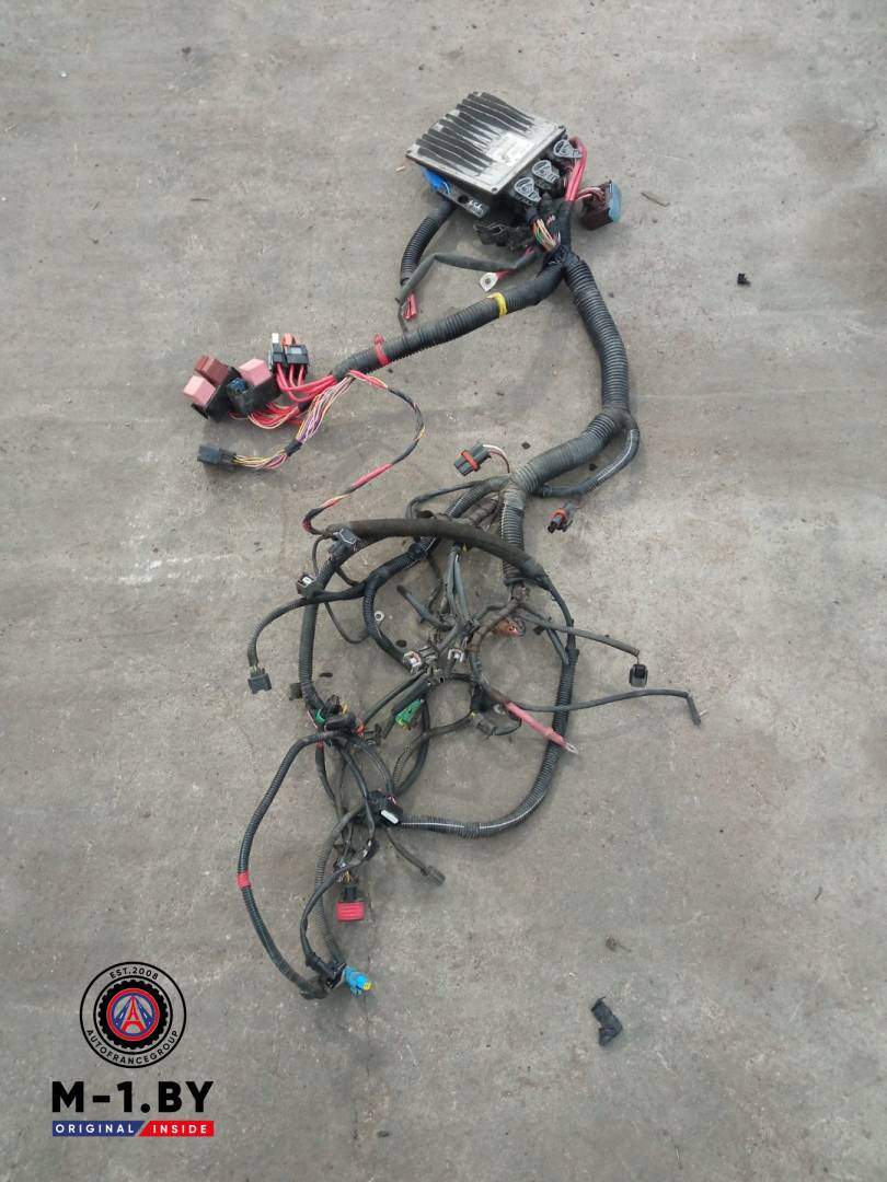 проводка двигателя Renault Sandero 1 поколение (2009 - 2014), 1.5 л., дизель, 820001002106 - фото №1
