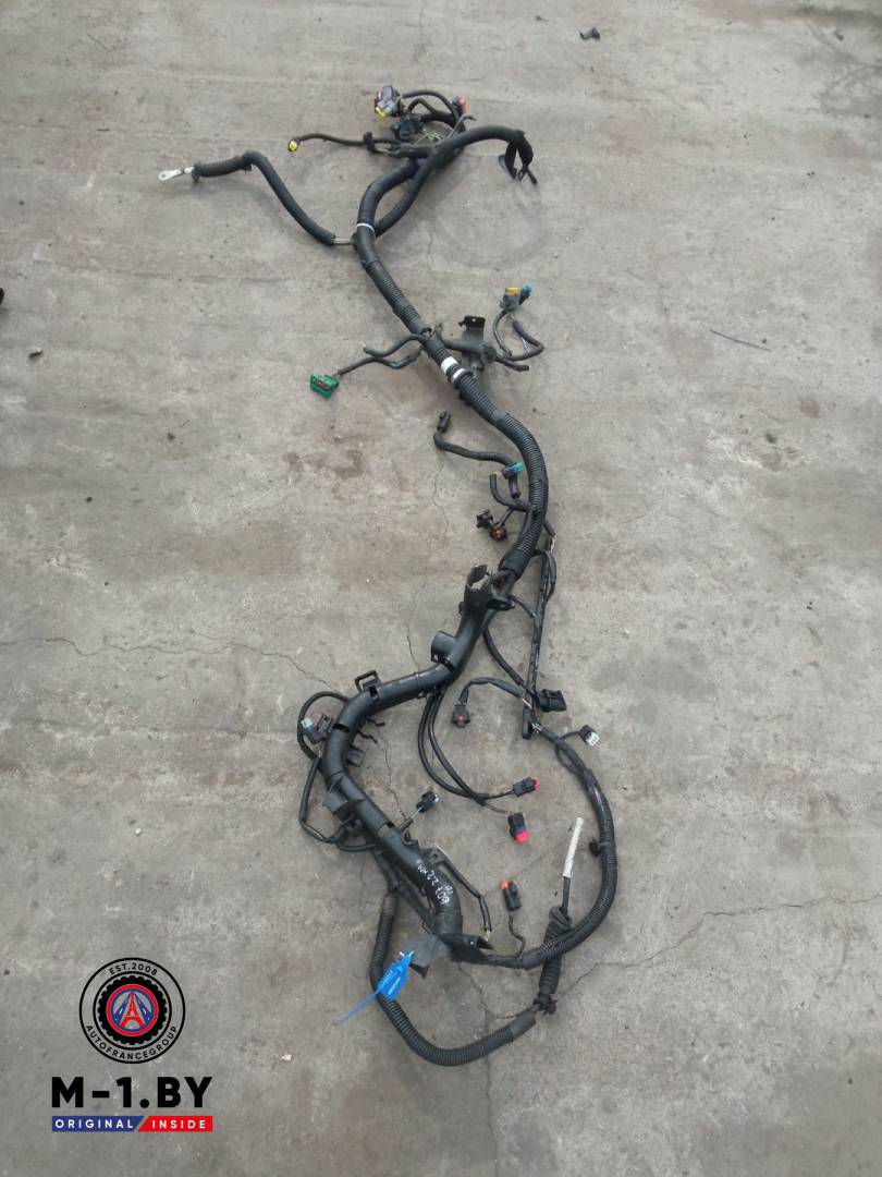 проводка двигателя Peugeot 807 1 поколение (2002 - 2008), 2.2 л., дизель - фото №1