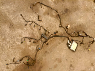 проводка двигателя Peugeot 207 1 поколение (2006 - 2009), 1.6 л., бензин, 9666235880, 0261201863