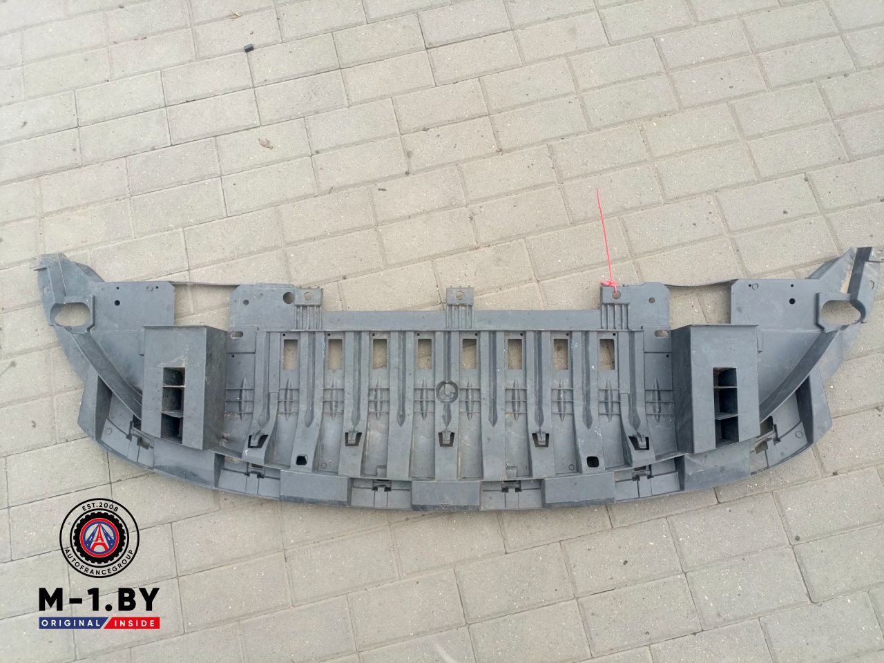 защита бампера (кенгурятник) Renault Scenic 3 поколение (2009 - 2012), 622350003R - фото №1