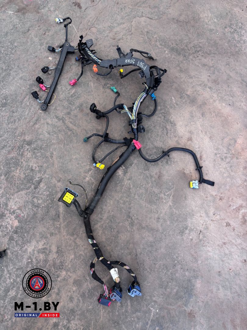 проводка двигателя Peugeot 307 1 поколение (2001 - 2005), 9651389980 - фото №1