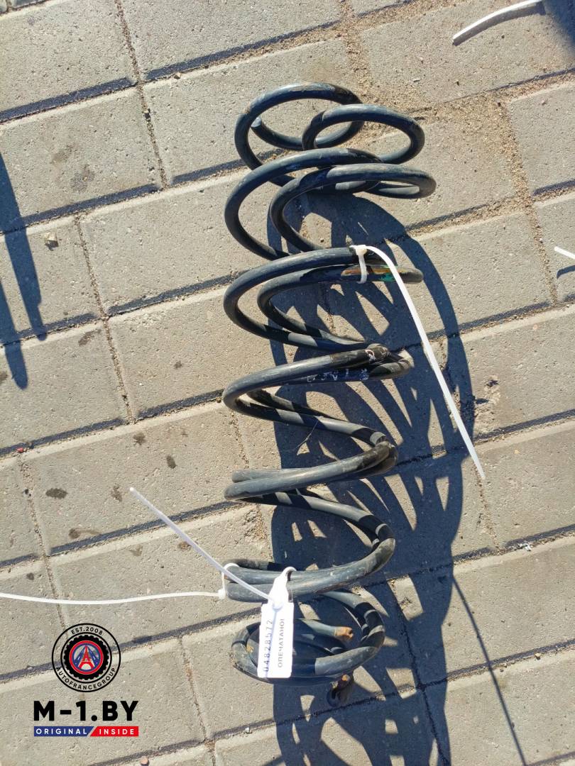 пружина задняя Renault Laguna 2 поколение (2001 - 2005) - фото №1