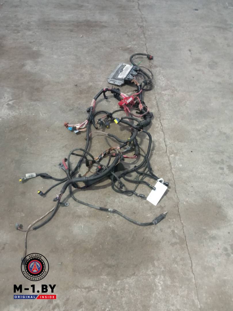 проводка двигателя Renault Megane 2 поколение (2002 - 2006), 1.6 л., бензин, 8200387138 - фото №1