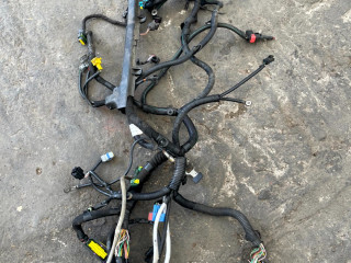 проводка двигателя Citroen Xsara 1 поколение [рестайлинг] (2000 - 2006), 2.0 л., бензин