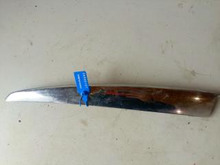 молдинг (накладка кузовная) Renault Laguna 3 поколение (2007 - 2012), P0012929