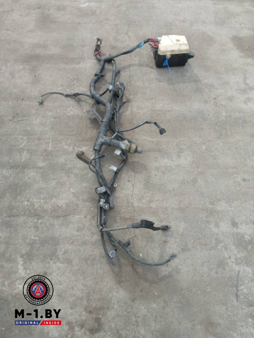 проводка двигателя Toyota Corolla 9 поколение (E120/E130) (2000 - 2004), 1.3 л., бензин - фото №1