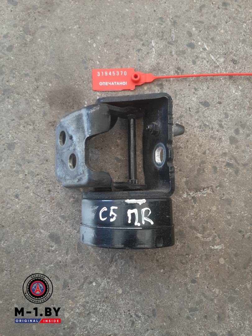 петля двери Citroen C5 2 поколение (2008 - 2017) - фото №1