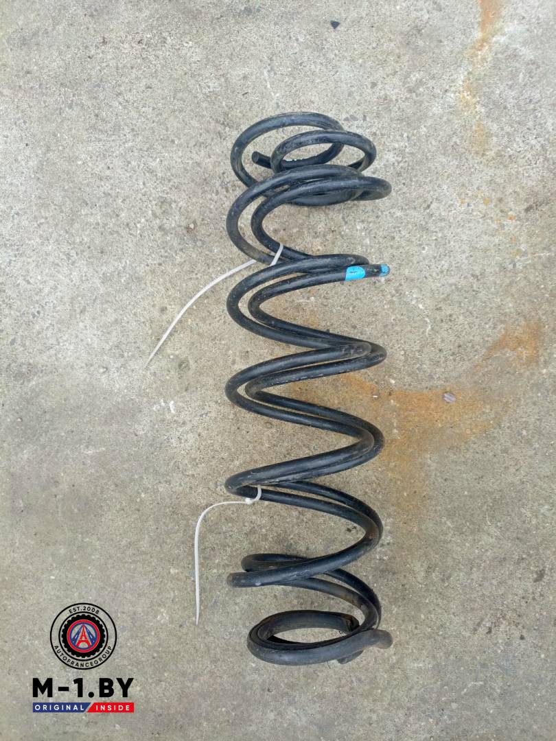 пружина задняя Renault Laguna 2 поколение (2001 - 2005) - фото №1