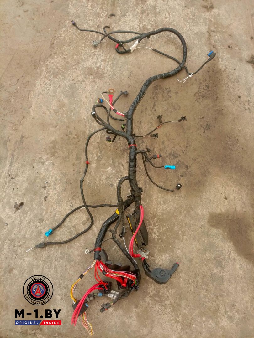 проводка двигателя Renault Logan 1 поколение (2004 - 2009), 1.4 л., бензин, K7JA710 - фото №1