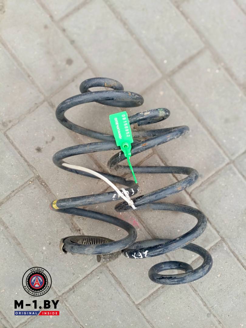 пружина задняя Renault Clio 3 поколение (2005 - 2009), хетчбэк 5 дв. - фото №1