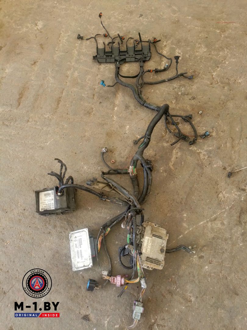 проводка двигателя Renault Espace 4 поколение (2002 - 2006), 2.2 л., дизель, АКПП, 8200311550 - фото №1
