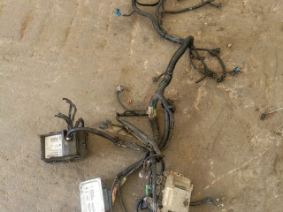 проводка двигателя Renault Espace 4 поколение (2002 - 2006), 2.2 л., дизель, АКПП, 8200311550