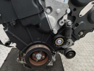 защита (кожух) ремня ГРМ Peugeot 406 1 поколение [рестайлинг] 2001, 3.0 л., XFX (ES9J4S), бензин, АКПП