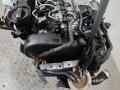 защита (кожух) ремня ГРМ Volkswagen Passat B6 2009, 2.0 л., дизель, МКПП - фото №2