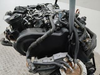 защита (кожух) ремня ГРМ Volkswagen Passat B6 2009, 2.0 л., дизель, МКПП