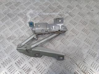 петля капота левая Opel Insignia 1 поколение (A) 2010, 12841600, 13248765