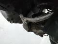 компрессор кондиционера Audi A4 B6 2002, 1.9 л., AVF, дизель - фото №3