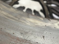 комплект сцепления Ford Transit 7 поколение 2010, 2.2 л., дизель, 8C116477CA, 8C117550CB, 6C117563CC, 415043810, 125013810, 325024110 - фото №6