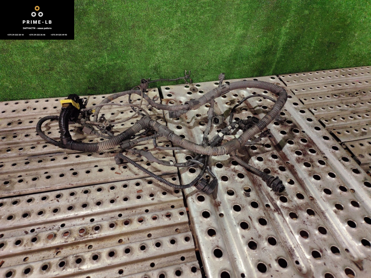 проводка двигателя Mercedes-Benz Actros 3 поколение (MP3) 2010, 11.9 л., OM 541.976, дизель, АКПП, A0001506733 - фото №1