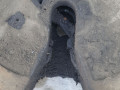 седельно-сцепное устройство MAN TGA 1 поколение 2006, 10.5 л., D 2066 LF 03, дизель, АКПП, JSK37 - фото №5