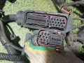 проводка двигателя MAN TGA 1 поколение 2004, 10.5 л., D 2066 LF 01, дизель, МКПП, 81254246188 - фото №7
