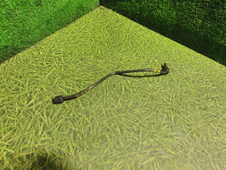 масляная трубка Scania P 2 поколение 1995, TRUBKASCANIADSC1415