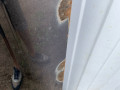 дверь передняя правая Ford Ranger 2 поколение 2009, пикап - фото №5
