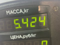 диск тормозной передний Mazda 323 6 поколение 1998, 2.0 л., дизель, МКПП, синий, хетчбэк 3 дв. - фото №4