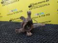ступица передняя правая Geely CK Otaka 1 поколение CK-1 2007, 1.5 л., MR479A, бензин, МКПП, золотистый, седан, передний привод - фото №3