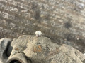 суппорт передний левый Opel Astra F 1992, 1.4 л., C 14 NZ, бензин, МКПП, красный, хетчбэк 5 дв., передний привод - фото №4
